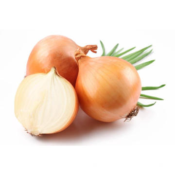 HOT SELLING HIGH QUALITY FRESH YELLOW ONION